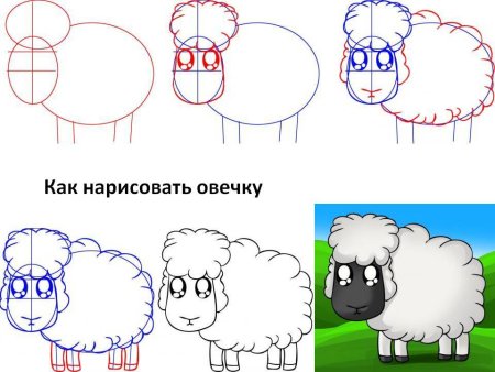 Как нарисовать овечку