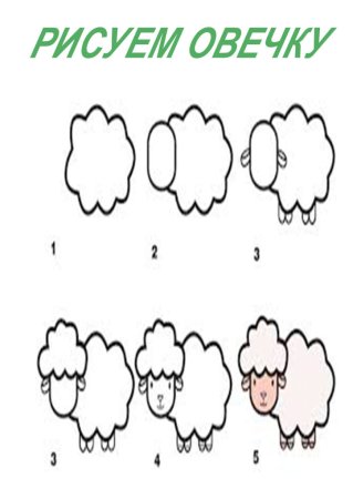 Овца поэтапное рисование