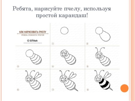 Поэтапное рисование пчелы для детей