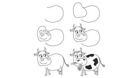Рисунок быка для детей поэтапно (51 фото)