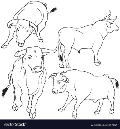 Поэтапный рисунок лося
