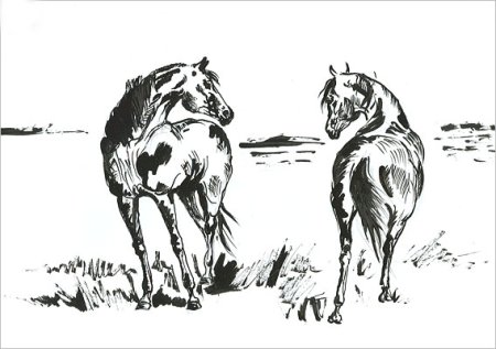 Рисунки пером и тушью для начинающих