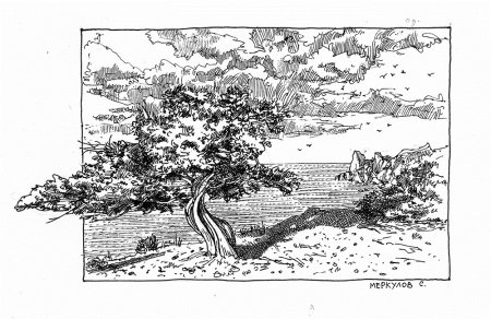 Рисунок гелевой ручкой на бумаге пейзаж