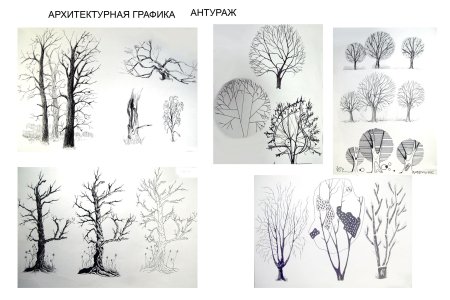 Изображение дерева в графике