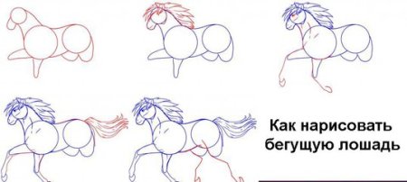 Рисование конек горбунок