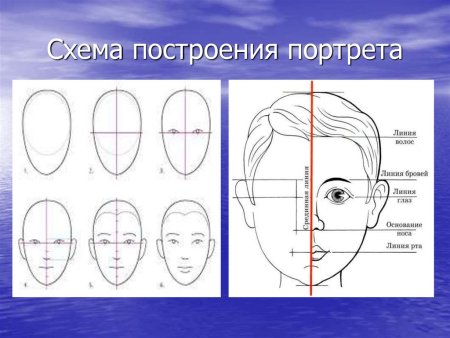 Схема построения портрета