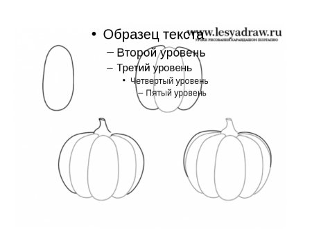 Поэтапное рисование тыквы