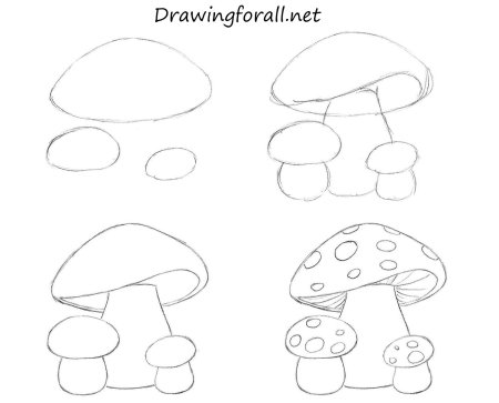 Корзинка с грибами раскраска