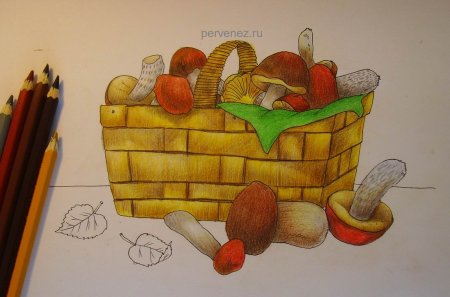 Лукошко с грибами раскраска