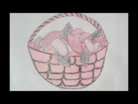 Рисунки грибов карандашом
