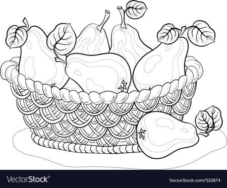 Раскраска корзина с фруктами и овощами