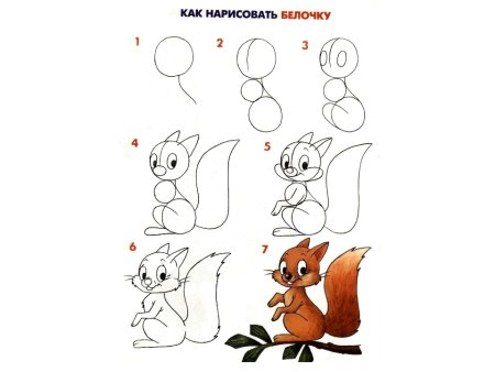 Рисунок белки поэтапно для детей карандашом легко (46 фото) » рисунки для срисовки на aikimaster.ru