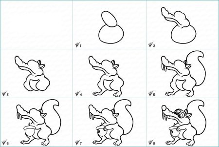 Поэтапное рисование белочки
