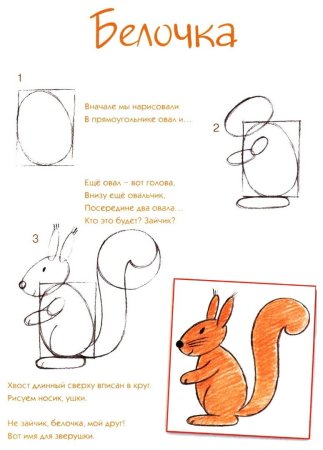 Белочка поэтапное рисование для детей