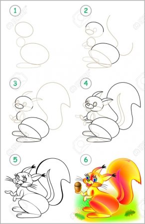 Поэтапное рисование белочки