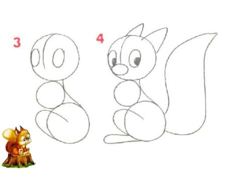 Пошаговое рисование белочки
