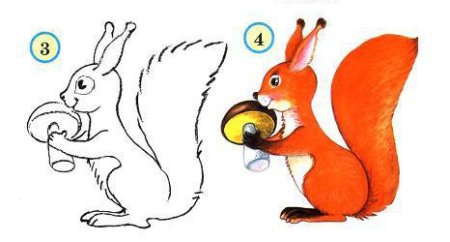 Рисование белка в старшей группе