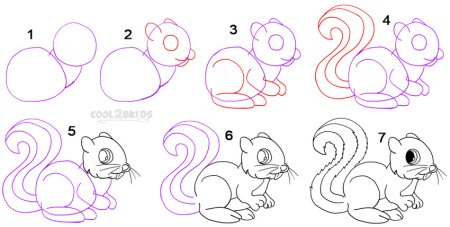 Как рисовать белку