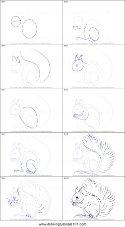 Как нарисовать белку поэтапно для детей