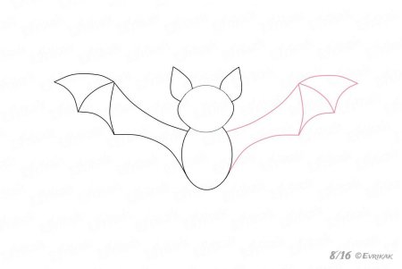 Как рисовать летучую мышь