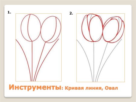 Изо 1 класс тюльпаны