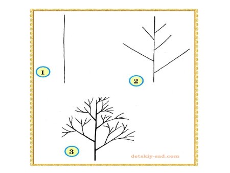 Поэтапное рисование дерева в средней группе