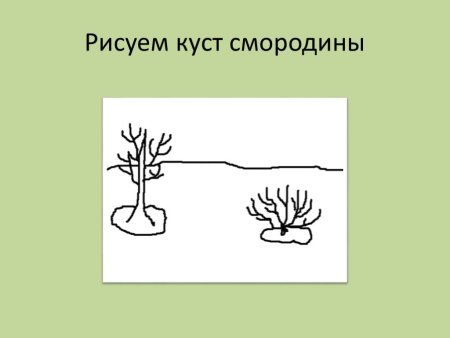 Как рисовать кусты