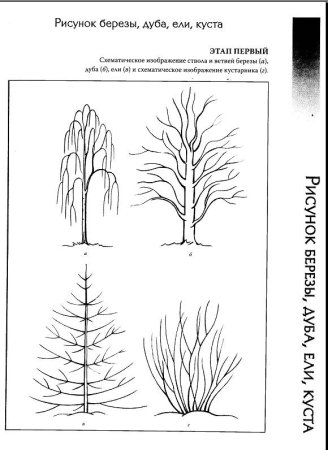Схема рисования деревьев и кустарников