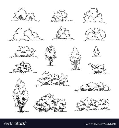 Кусты для рисования