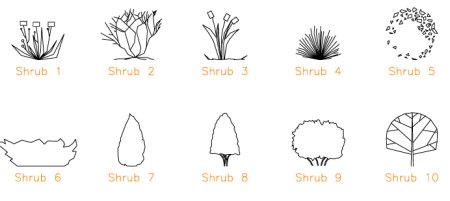 Кустарники пошагово