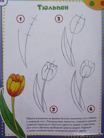 Рисование с дошкольниками тюльпанов