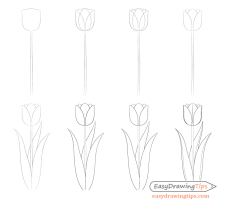 Поэтапное рисование цветы