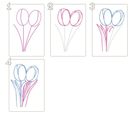 Цветы рисунок карандашом поэтапно