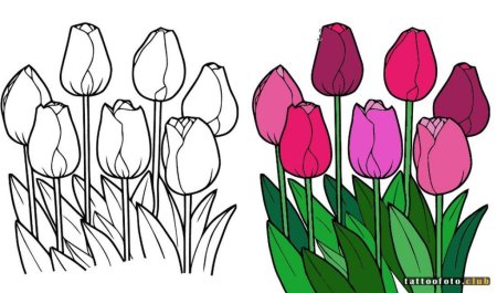 Рисование с натуры цветов несложной формы тюльпан