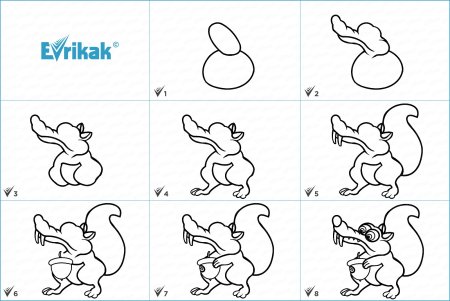 Поэтапное рисование белки
