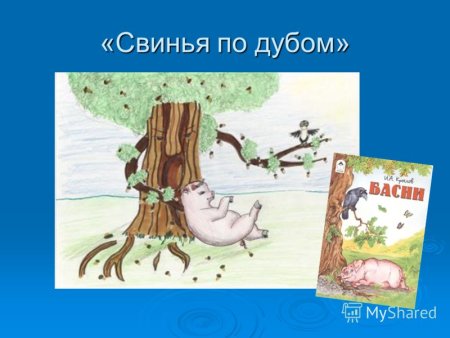 Свинья по дубом