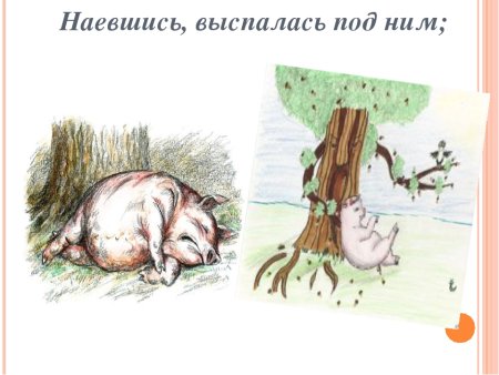Рисунок поэтапно свинья под дубом (49 фото)