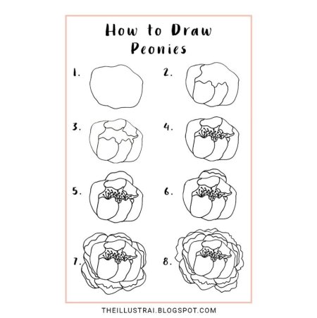 Схема рисования пиона