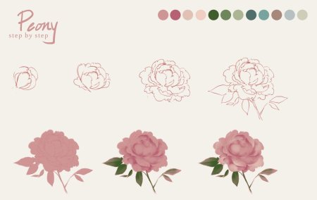 Пионы референс для рисования