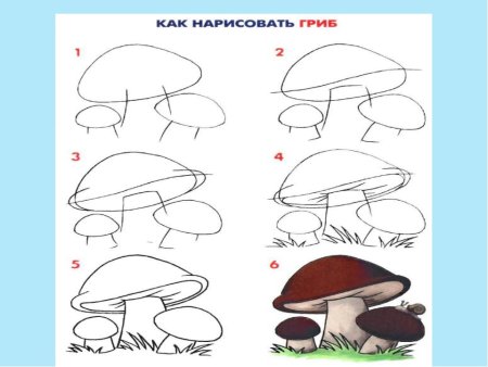 Поэтапное рисование гриба
