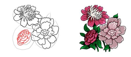 Букет цветов карандашом поэтапно пионы