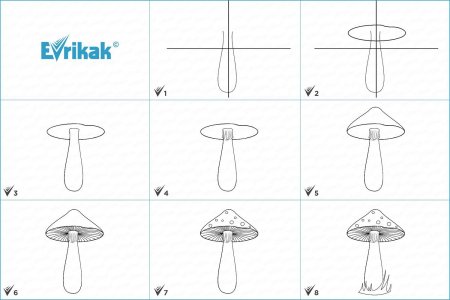 Поэтапное рисование гриба