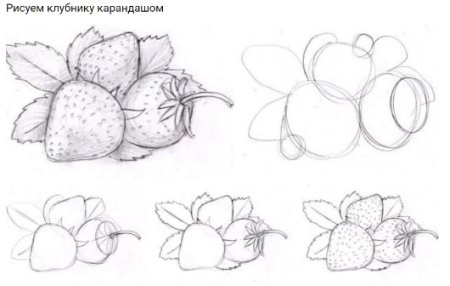 Земляника поэтапное рисование