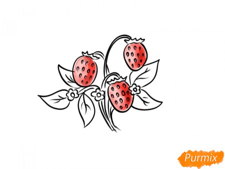 Рисунок земляники карандашом для детей поэтапно