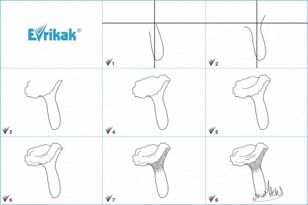Как нарисовать гриб