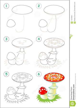 Как нарисовать гриб