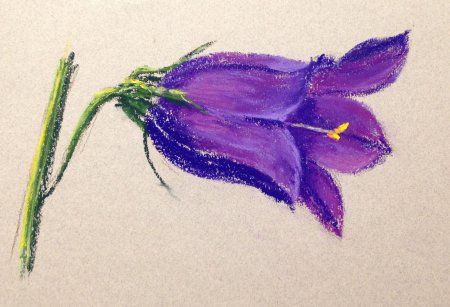 Рисование цветов масляной пастелью