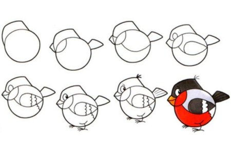 Снегирь поэтапное рисование для детей