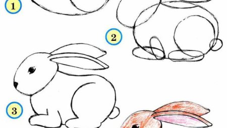 Уроки рисования животных для детей 5-6 лет