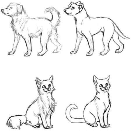 Наброски кошек и собак